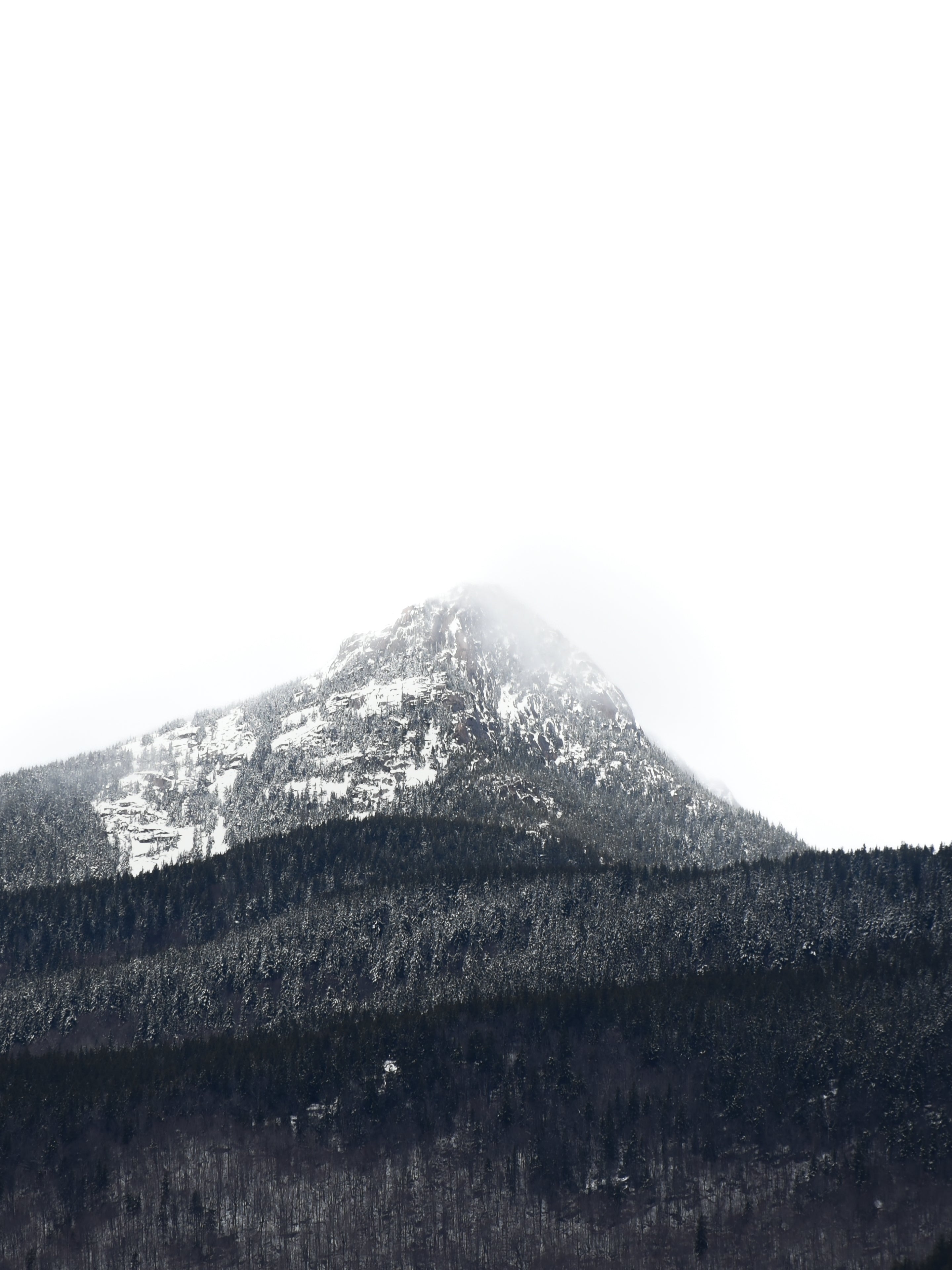 32x48 canvas photo